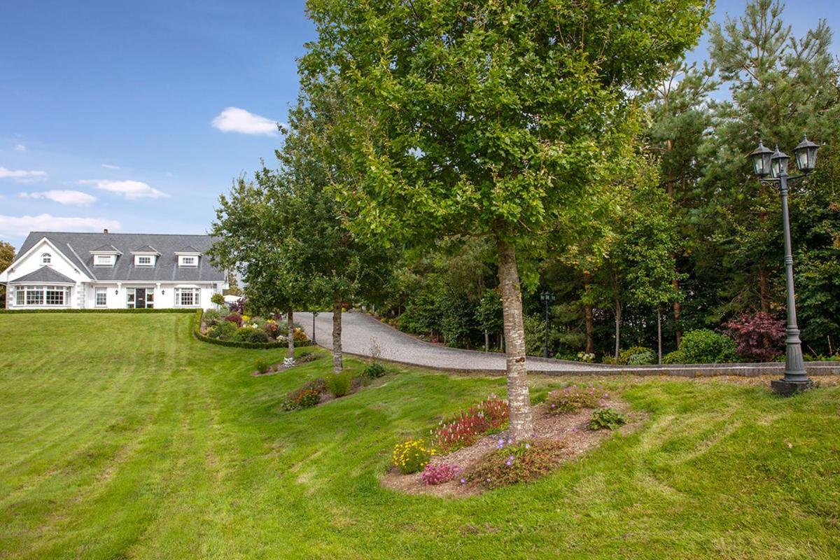 The Ridgewood Lodge Newbridge  Exteriér fotografie